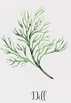 Dill symbolic of Power Against Evil