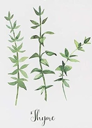 Thyme symbolic of Courage and Strength